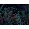 Lost Paradise 19009-01