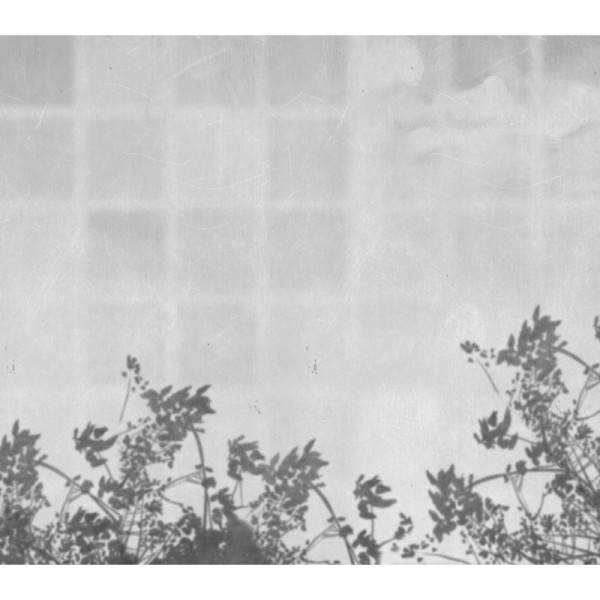 Wallpaper Pago Umbra M3035-1 - Tres Tintas Wallpaper Pago Umbra M3035-1 - Tres Tintas