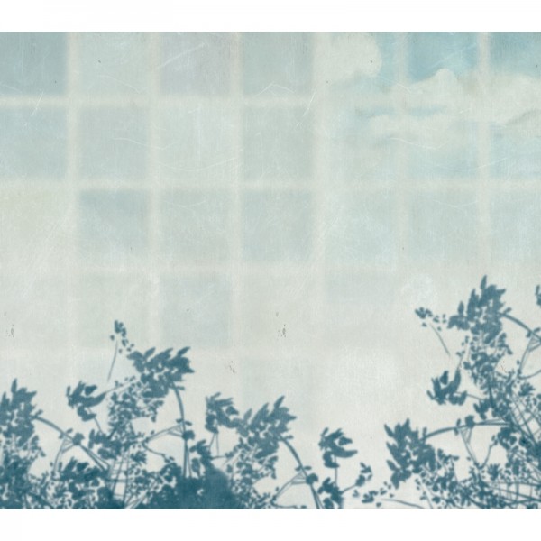 Wallpaper Pago Umbra M3035-3 - Tres Tintas Wallpaper Pago Umbra M3035-3 - Tres Tintas