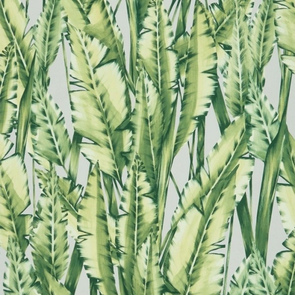 Wallpaper Tiger Leaf w7333-02 - OSBORNE and LITTLE Wallpaper Tiger Leaf w7333-02 - OSBORNE and LITTLE