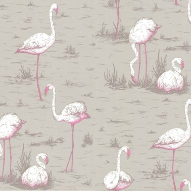 Papel Pintado Flamingos 66-6042 - COLE and SON