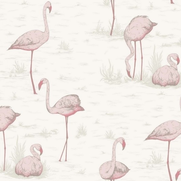 Wallpaper Flamingos 95-8045 - COLE and SON