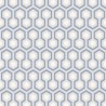 Hexágono de Hicks 66-8054