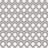 Hexágono de Hicks 66-8055