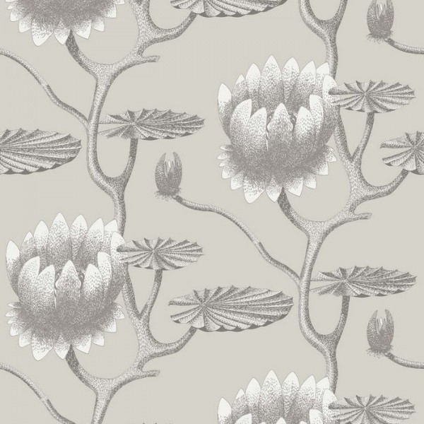 Wallpaper Summer Lily 95-4025 - COLE and SON Wallpaper Summer Lily 95-4025 - COLE and SON