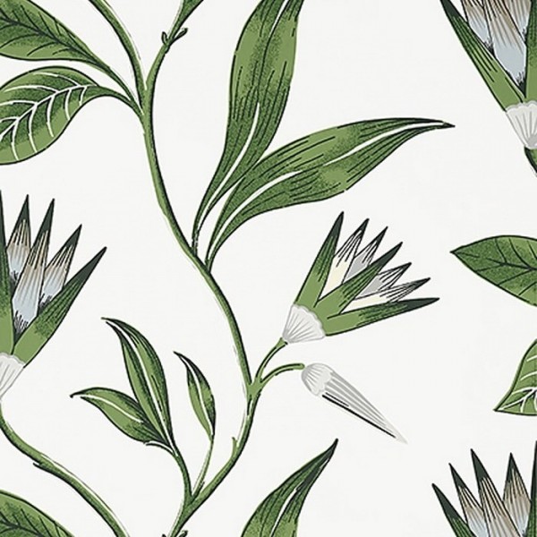 Papier peint AT9622 Cleo Vine - ANNA FRENCH Papier peint AT9622 Cleo Vine - ANNA FRENCH