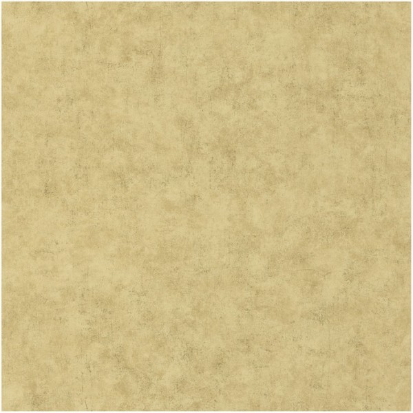 Papel Pintado 101487893 - Caselio