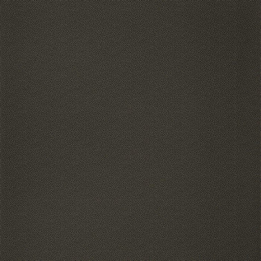Papier lackiert 100409027 - Ja. Caselio