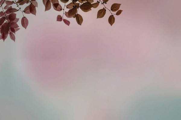 Wallpaper Amour GLIX21B - GLAMORA