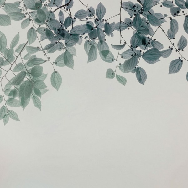 Wallpaper Amour GLIX22A - GLAMORA Wallpaper Amour GLIX22A - GLAMORA