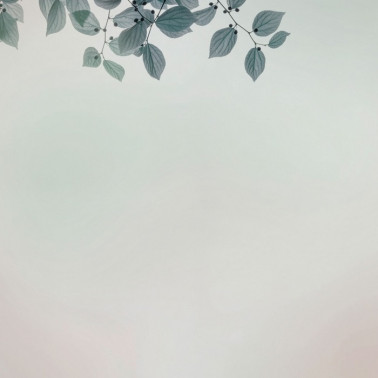 Wallpaper Amour GLIX22B - GLAMORA