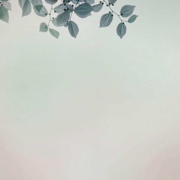 Papel Pintado Amour GLIX22B - GLAMORA Papel Pintado Amour GLIX22B - GLAMORA
