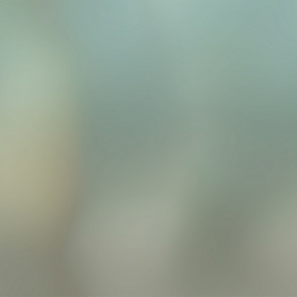 Tapete Chroma GLLP73B - GLAMORA Tapete Chroma GLLP73B - GLAMORA