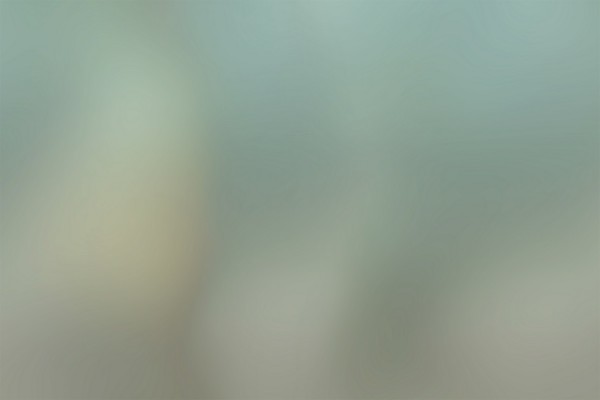 Papel de parede Chroma GLLP73B - GLAMORA