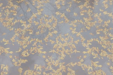 Wallpaper Pluvial GLIX481A - GLAMORA