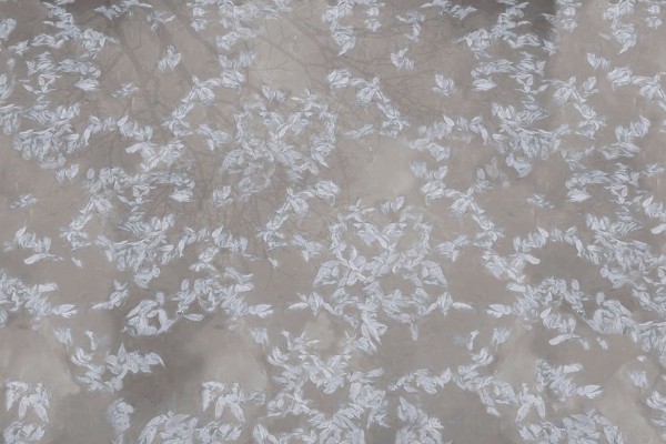 Wallpaper Pluvial GLIX482A - GLAMORA