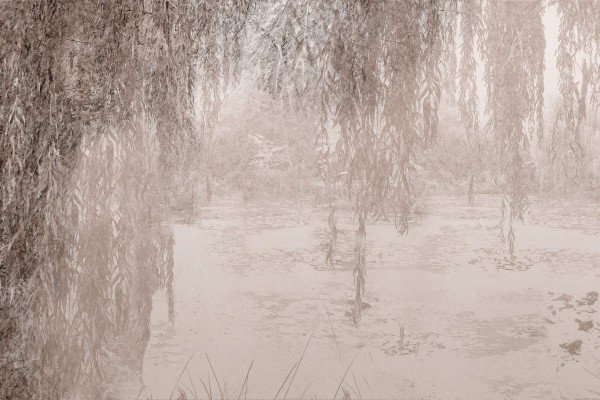 Wallpaper Poeme GLIX491B - GLAMORA