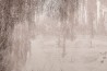Wallpaper Poeme GLIX491B - GLAMORA
