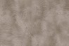 Tapete Radici GLIX531B - GLAMORA