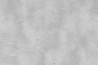 Papier peint Radici GLIX532B - GLAMORA