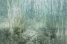 Papel Pintado Selva GLIX572B - GLAMORA