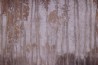 Wallpaper Sentieri GLIX592A - GLAMORA