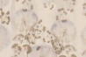 Papier peint Mon Trésor GLIX371B - GLAMORA