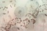 Papel de parede Mon Trésor GLIX372A - GLAMORA
