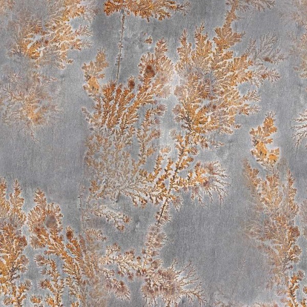 Papel Pintado GLFO121A OCTOCORALLIA - GLAMORA Papel Pintado GLFO121A OCTOCORALLIA - GLAMORA