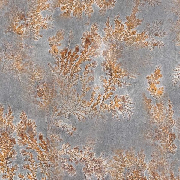 Carta da Parati GLFO121B OCTOCORALLIA - GLAMORA Carta da Parati GLFO121B OCTOCORALLIA - GLAMORA