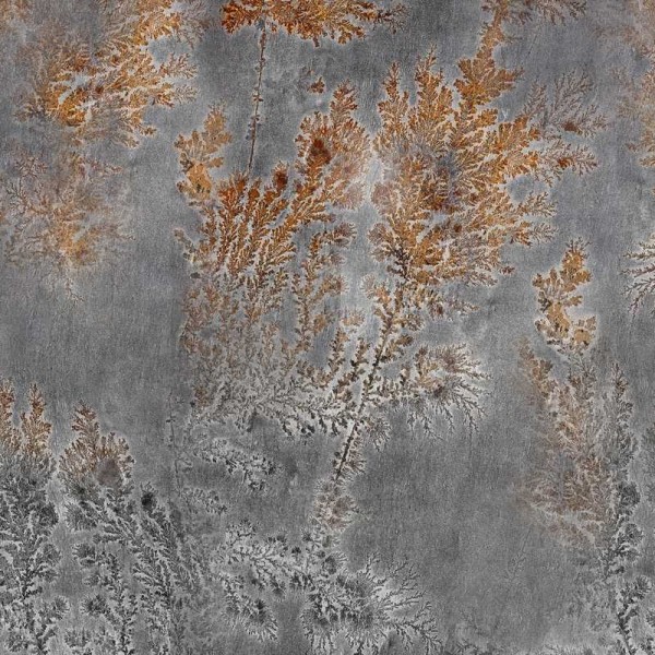 Tapete GLFO122A OCTOCORALLIA - GLAMORA Tapete GLFO122A OCTOCORALLIA - GLAMORA