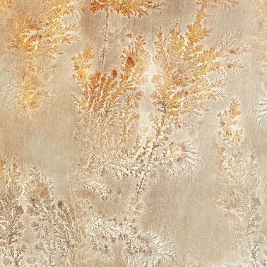 Papel Pintado GLFO124A OCTOCORALLIA - GLAMORA