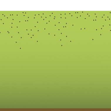 Wallpaper GLFR102B WATERMELON - GLAMORA