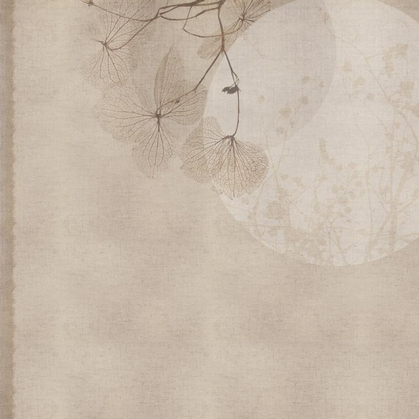 Wallpaper GLOR122A ZEN - GLAMORA Wallpaper GLOR122A ZEN - GLAMORA