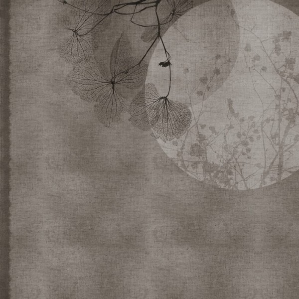 Wallpaper GLOR124A ZEN - GLAMORA Wallpaper GLOR124A ZEN - GLAMORA