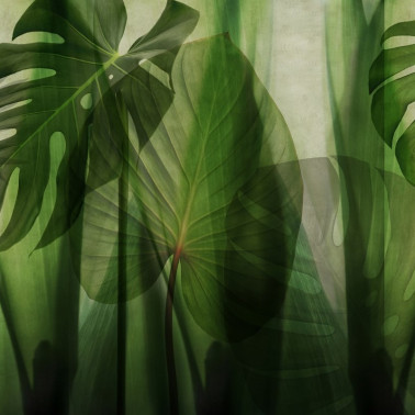 Papier peint GLRO101A EQUATORIAL JUNGLE - GLAMORA