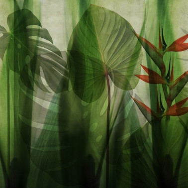 Tapete GLRO101B EQUATORIAL JUNGLE - GLAMORA