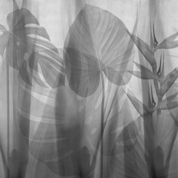 Papier peint GLRO103B EQUATORIAL JUNGLE - GLAMORA Papier peint GLRO103B EQUATORIAL JUNGLE - GLAMORA