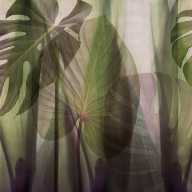 Wallpaper GLRO104A EQUATORIAL JUNGLE - GLAMORA