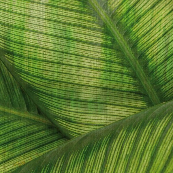 Papier peint GLRO122A LEAF - GLAMORA Papier peint GLRO122A LEAF - GLAMORA
