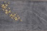 Papel de parede Agua de Pozo GLAG133A - GLAMORA