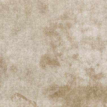 Papel de parede Agua de Sombra GLAG143B - GLAMORA