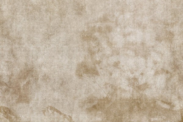 Tapete Agua de Sombra GLAG143B - GLAMORA