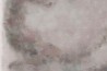 Papel de parede Bloom GLSG102A - GLAMORA
