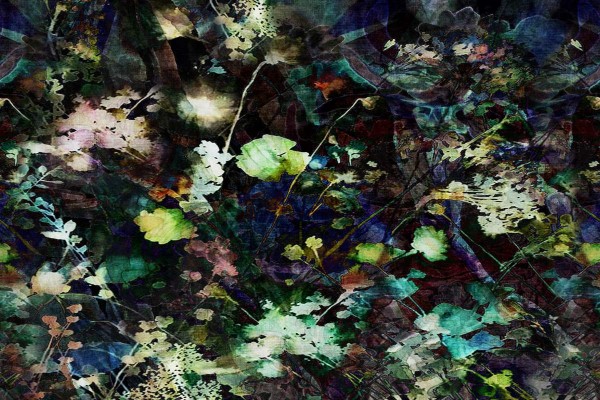 Papier peint Breeze GLFO241A - GLAMORA