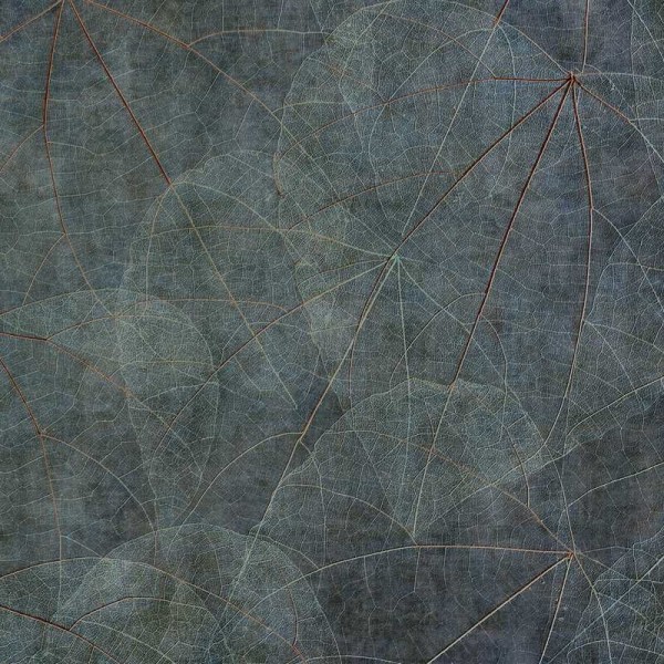 Papel Pintado Equinox GLNF121A - GLAMORA Papel Pintado Equinox GLNF121A - GLAMORA