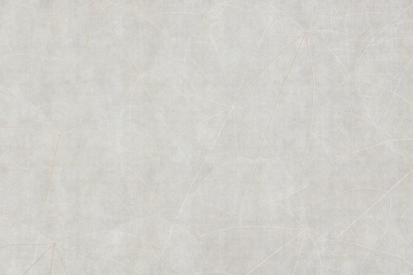 Carta da Parati Equinox GLNF122A - GLAMORA