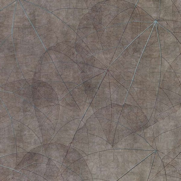 Tapete Equinox GLNF123A - GLAMORA Tapete Equinox GLNF123A - GLAMORA