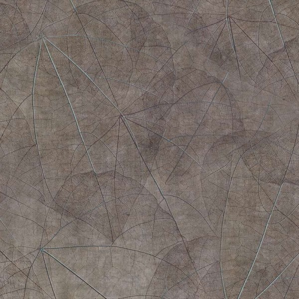 Papel Pintado Equinox GLNF123B - GLAMORA Papel Pintado Equinox GLNF123B - GLAMORA