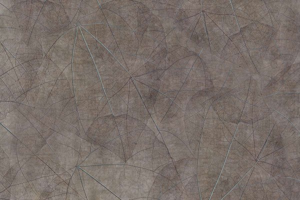 Papel Pintado Equinox GLNF123B - GLAMORA